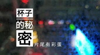 桂林饭店爆料视频最新版,揭秘幕后真相与惊人内幕